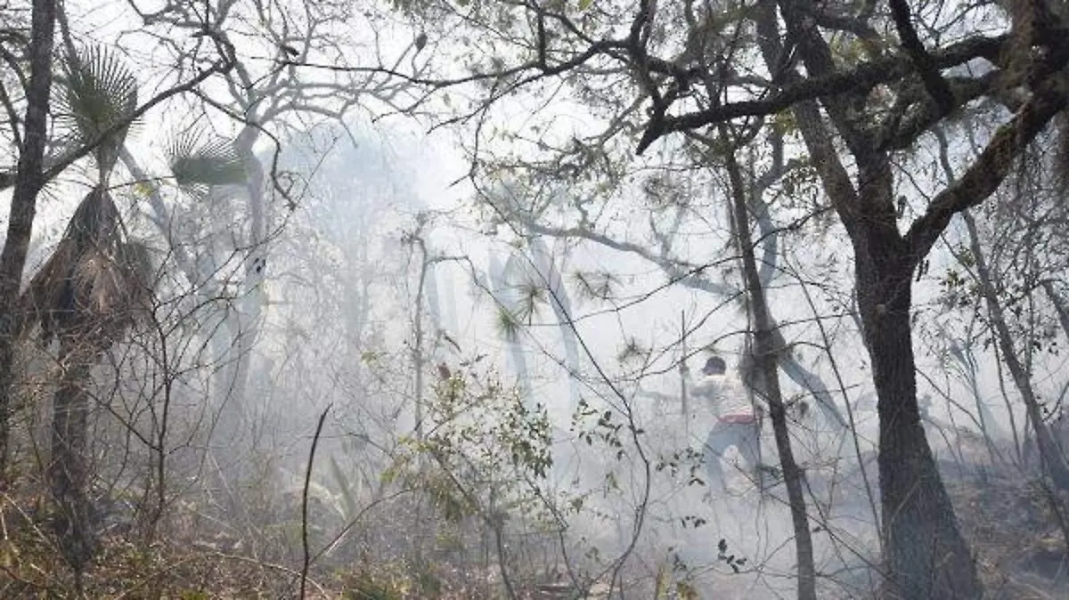 INCENDIOS FORESTALES